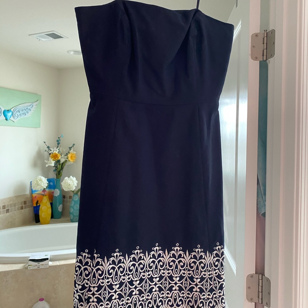 Ann Taylor Loft dress